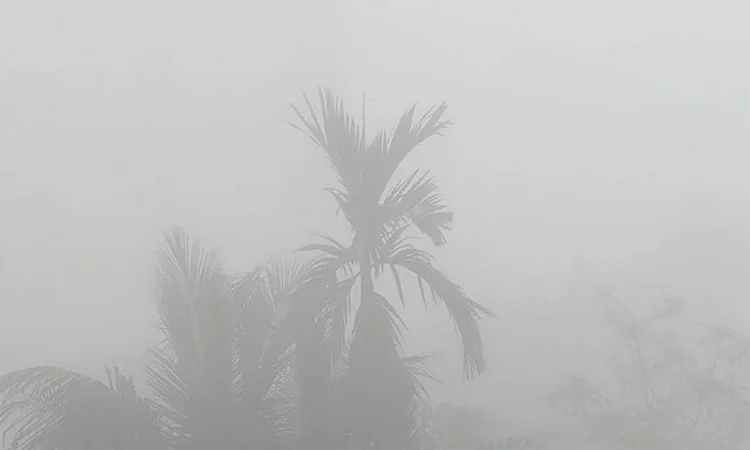 মৌসুমের সর্বনিম্ন তাপমাত্রা ৬.৭ ডিগ্রি সেলসিয়াসে নেমেছে